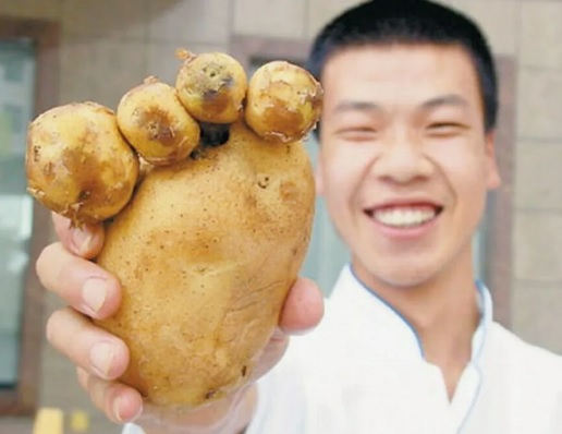 Файл:Парень с картофелиной.jpg