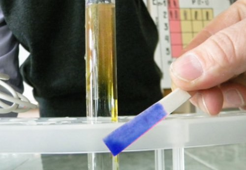 Файл:Синяя лакмусовая бумажка.png