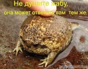 амфибиотропная асфиксия что это. Смотреть фото амфибиотропная асфиксия что это. Смотреть картинку амфибиотропная асфиксия что это. Картинка про амфибиотропная асфиксия что это. Фото амфибиотропная асфиксия что это