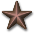Bronze-star-device-3d.png