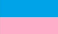 Флаг Стасово-Барецка.jpg