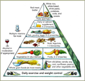 Harvard food pyramid.png