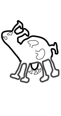 BullS-CoW-2020-1.png