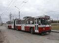 303552.jpg