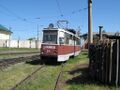 315065.jpg