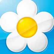 Флаг Ромашковой долины.jpg