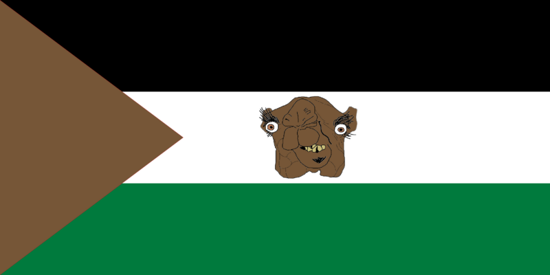 Файл:Флаг Западной Сахары.png