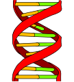 DNA icon.svg