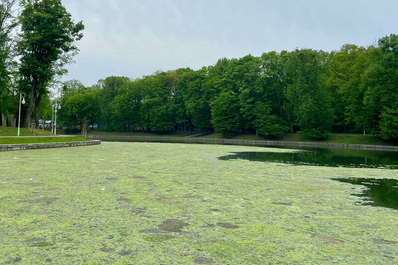 Файл:Ozero 1.jpg