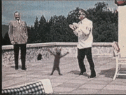 3003200710za8.gif