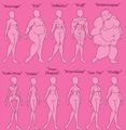 Female-Body-Type-Chart.jpg