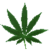 Cannabis.gif