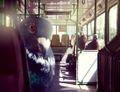 Голубь в автобусе Уфы.jpg