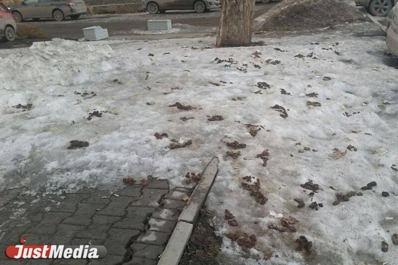 Файл:Снег1.jpg