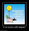 Kupisharik.jpg
