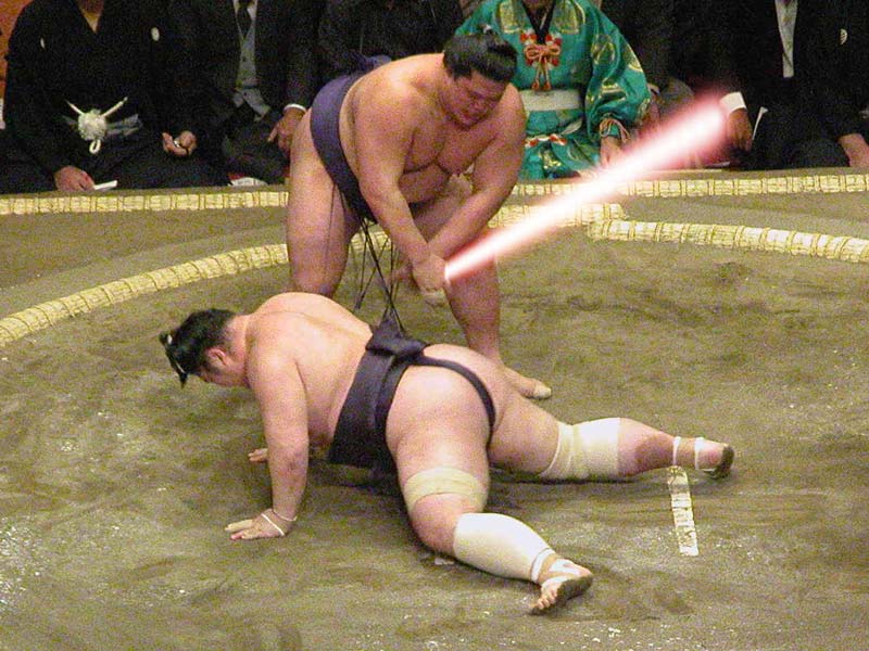 Sumo wrestling.jpg. 