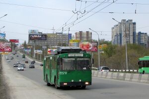 1069043.jpg