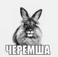Миниатюра для версии от 19:26, 30 апреля 2026