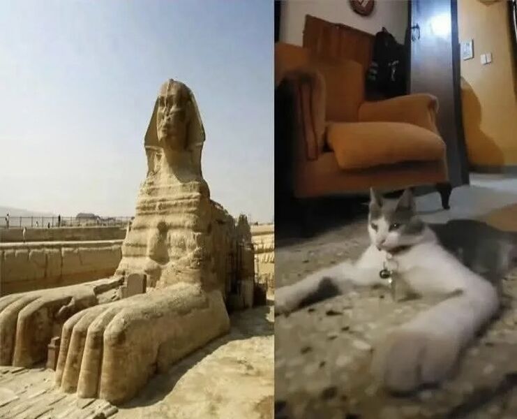 Файл:IMG 670362.jpeg