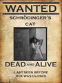 Schrödinger cat.jpg