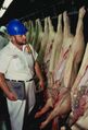Swine inspection USDA.jpg