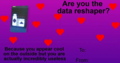 Data Reshaper.png