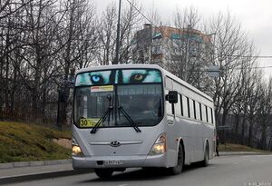 2354893.jpg
