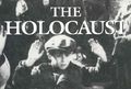 The Holocaust book.jpg
