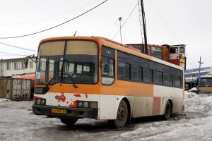 605954.jpg