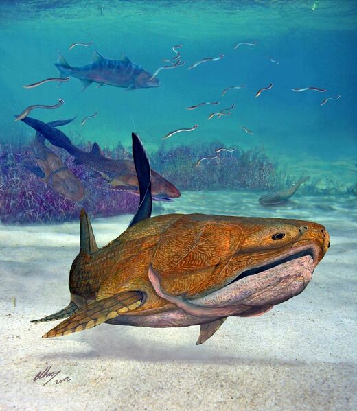 Файл:Entelognathus.jpg