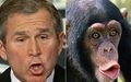 Буш младший и шимпанзе.jpg