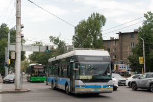 2155512.jpg