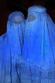 Burqa Afghanistan 01.jpg