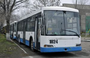 673363.jpg
