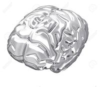 Серебряный мозг.jpg
