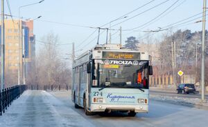 2261869.jpg
