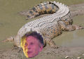 Polanski-crocodile.jpg