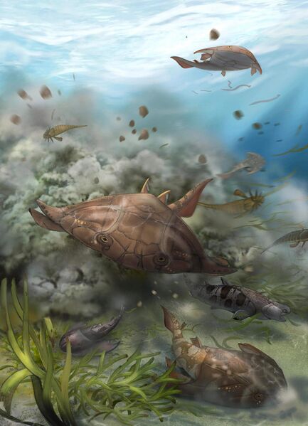 Файл:Xiushanosteus.jpg