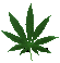Cannabis.gif