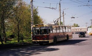 925843.jpg