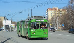 1470936.jpg