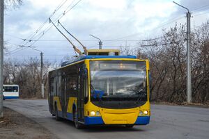 2204148.jpg