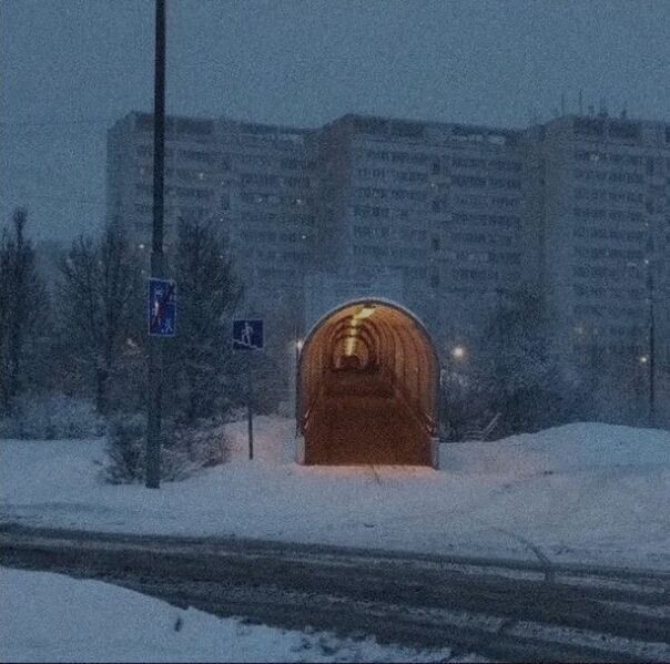 Файл:Tunnel zelenograd.jpg