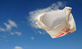 Plastic-bag-in-the-wind.jpg